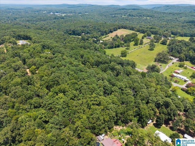 4427 BRADFORD HOPEWELL ROAD, Pinson, AL 35126