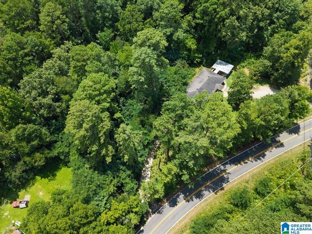 4427 BRADFORD HOPEWELL ROAD, Pinson, AL 35126