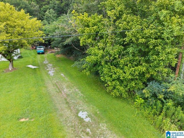 4427 BRADFORD HOPEWELL ROAD, Pinson, AL 35126