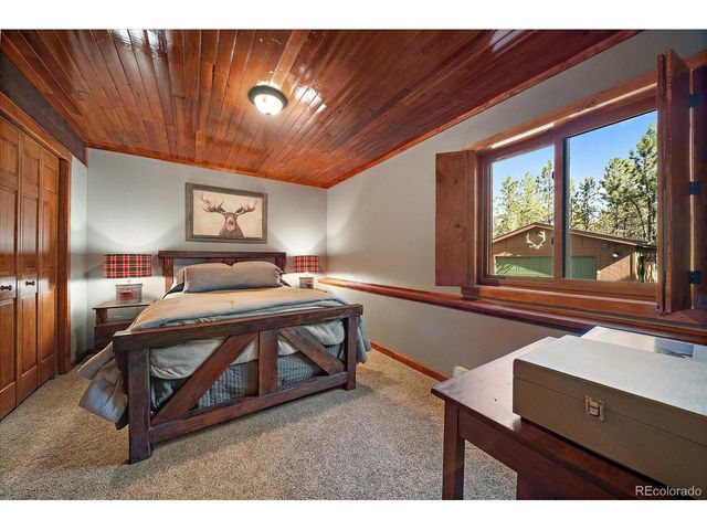 13183 S Piute Dr, Pine, CO 80470