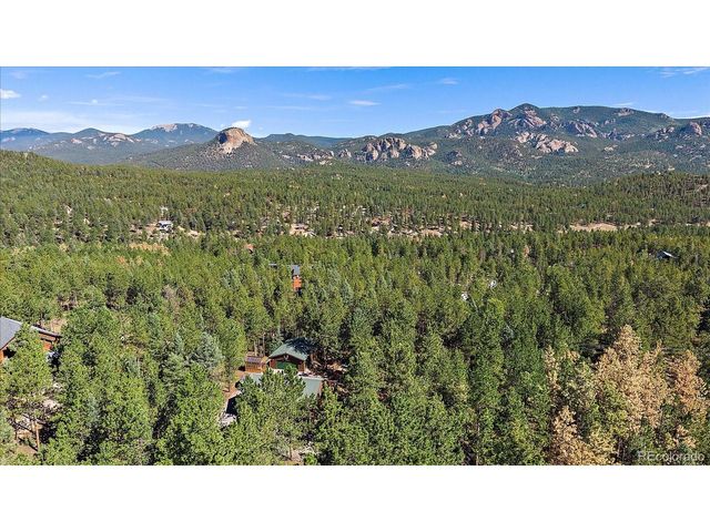 13183 S Piute Dr, Pine, CO 80470