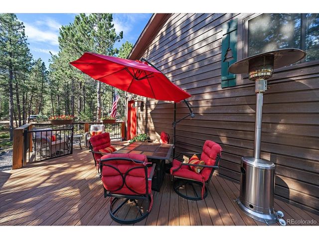 13183 S Piute Dr, Pine, CO 80470