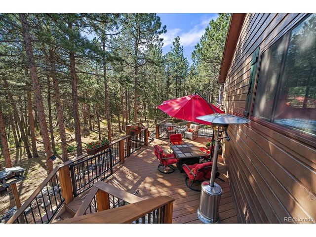13183 S Piute Dr, Pine, CO 80470