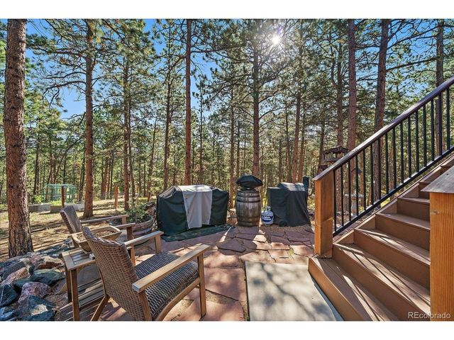 13183 S Piute Dr, Pine, CO 80470