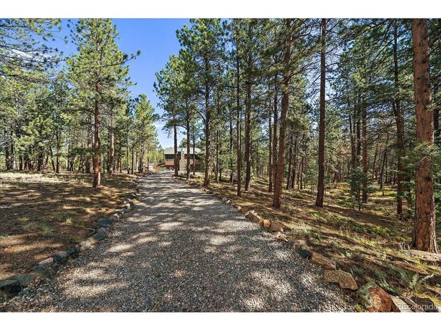13183 S Piute Dr, Pine, CO 80470