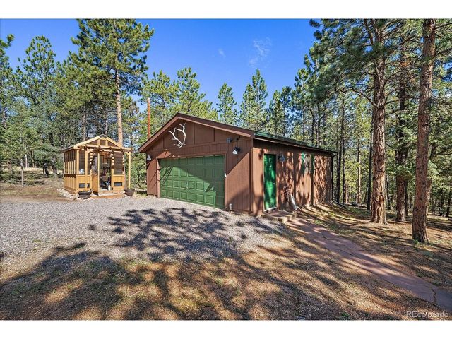 13183 S Piute Dr, Pine, CO 80470