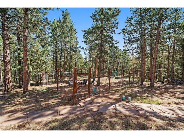 13183 S Piute Dr, Pine, CO 80470