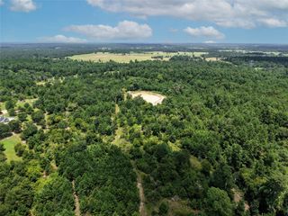 3656 Luthe Road, Bedias, TX 77831