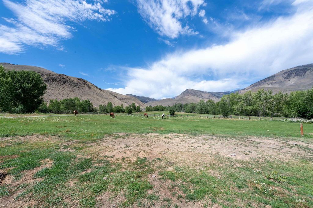 9885 Challis Creek Rd., Challis, ID 83226 photo 44