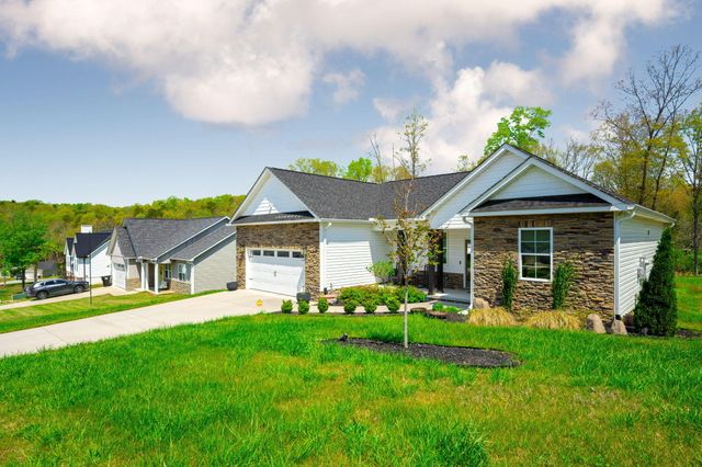 6689 Long Horn Street, Birchwood, TN 37308