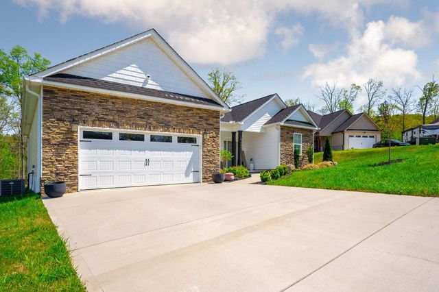 6689 Long Horn Street, Birchwood, TN 37308