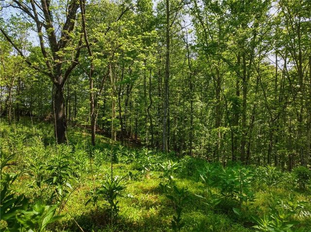 Lot 2 Summit Drive, Dahlonega, GA 30533