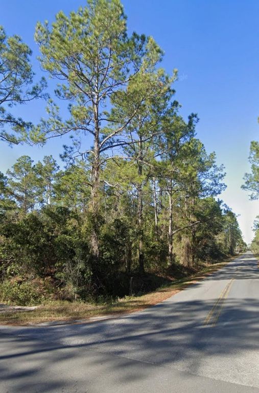 4300 Helena St, Hastings, FL 32145