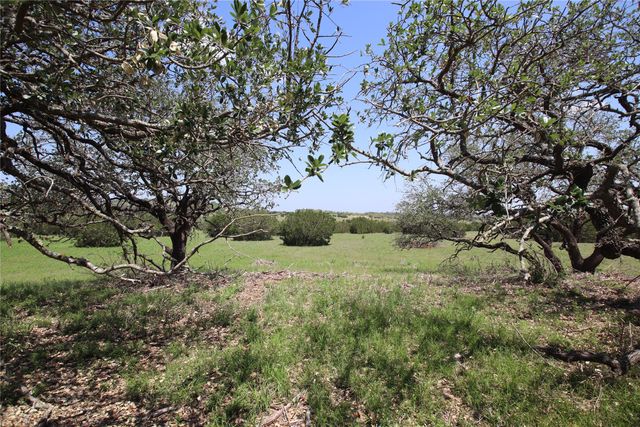 TBD FM 221 - Tract 3, Pottsville, TX 76565