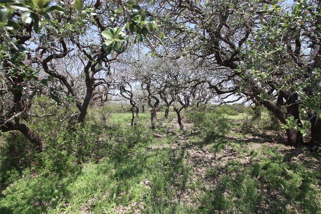 TBD FM 221 - Tract 3, Pottsville, TX 76565