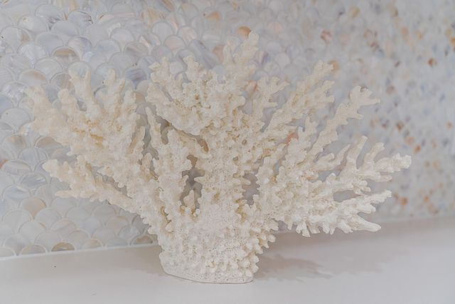 13826 Pirates Beach Boulevard, Galveston, TX 77554