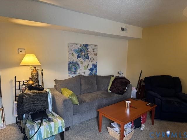 307 Bernie Ct, Henrico, VA 23075