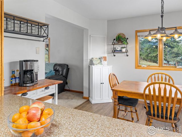 1263 Broadview Road, Estes Park, CO 80517