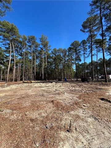 28880 Deercroft Drive, Wagram, NC 28396