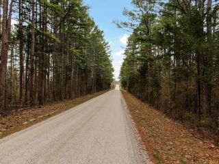 000 Fossil Cove Road, Cape Fair, MO 65624
