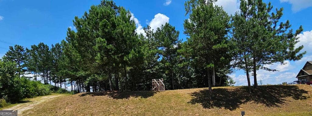 915 N Edgewater Trail, Toccoa, GA 30577 — photo 2