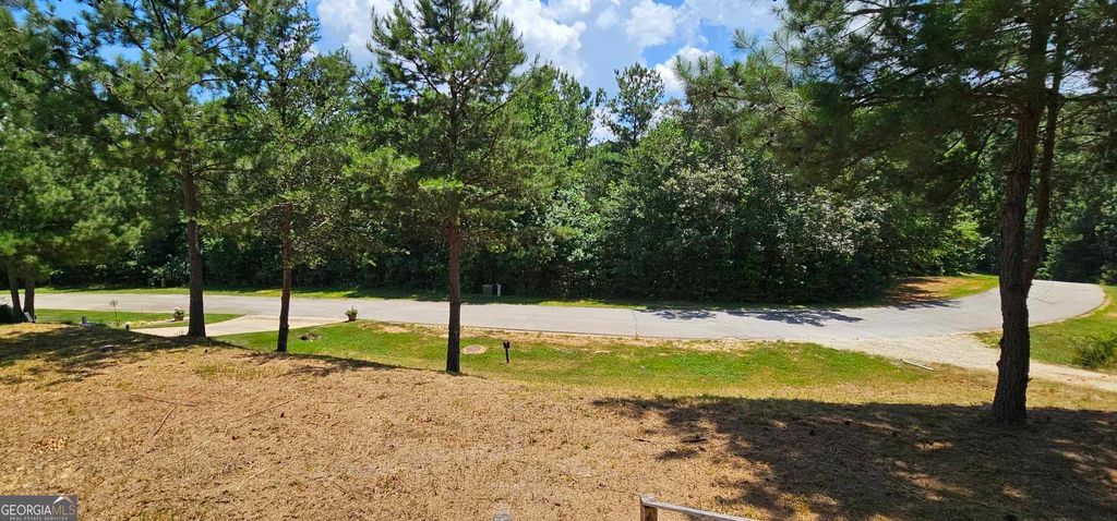 915 N Edgewater Trail, Toccoa, GA 30577 — photo 4