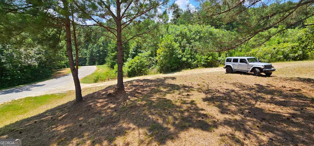 915 N Edgewater Trail, Toccoa, GA 30577 — photo 5