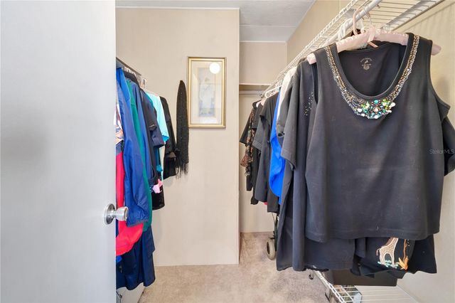 2236 EVERGREEN CIRCLE 1704, Zellwood, FL 32798