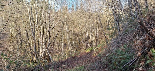 1586 King Road, Winlock, WA 98596