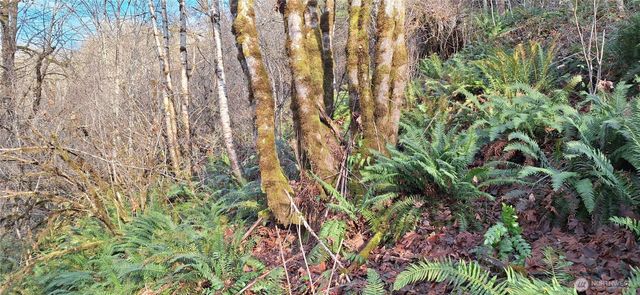 1586 King Road, Winlock, WA 98596