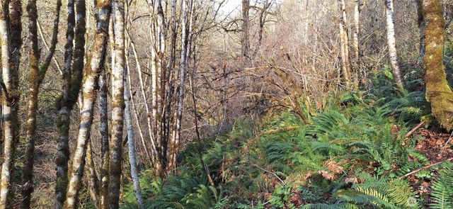 1586 King Road, Winlock, WA 98596