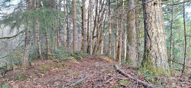 1586 King Road, Winlock, WA 98596