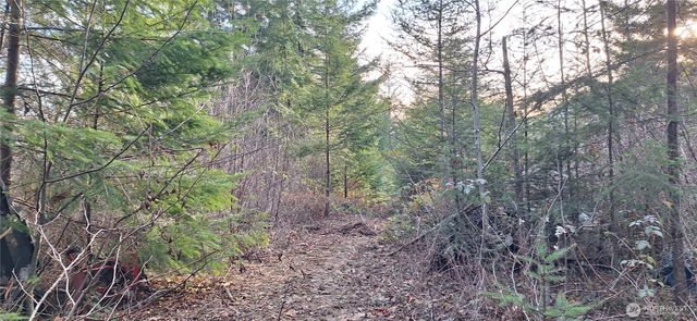 1586 King Road, Winlock, WA 98596