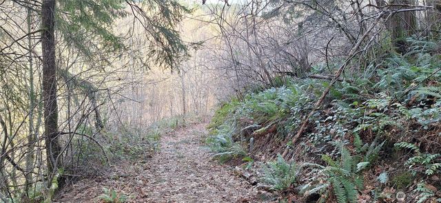 1586 King Road, Winlock, WA 98596