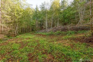 217 Deer Fern Lane, Longview, WA 98632