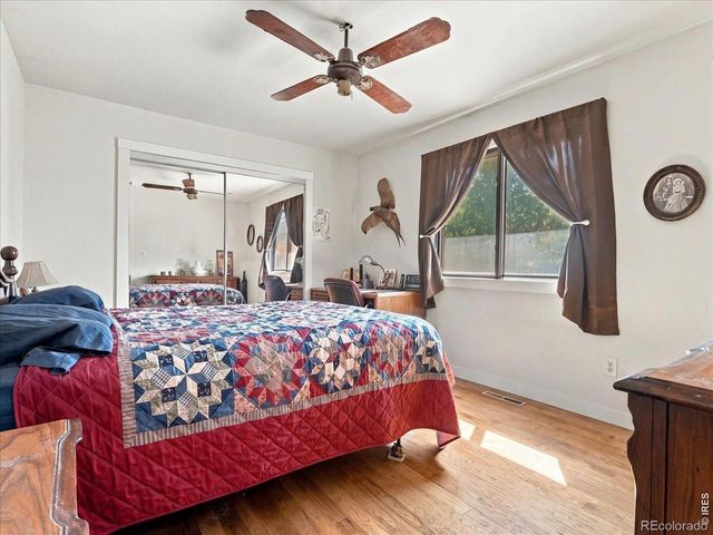11 Rochester Drive, Windsor, CO 80550
