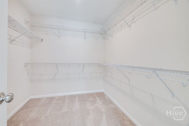 3823 Castleoak Drive, Richmond Hill, GA 31324
