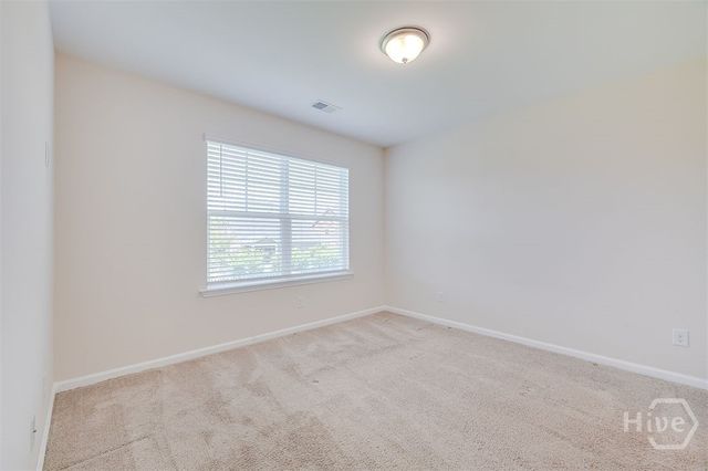 3823 Castleoak Drive, Richmond Hill, GA 31324