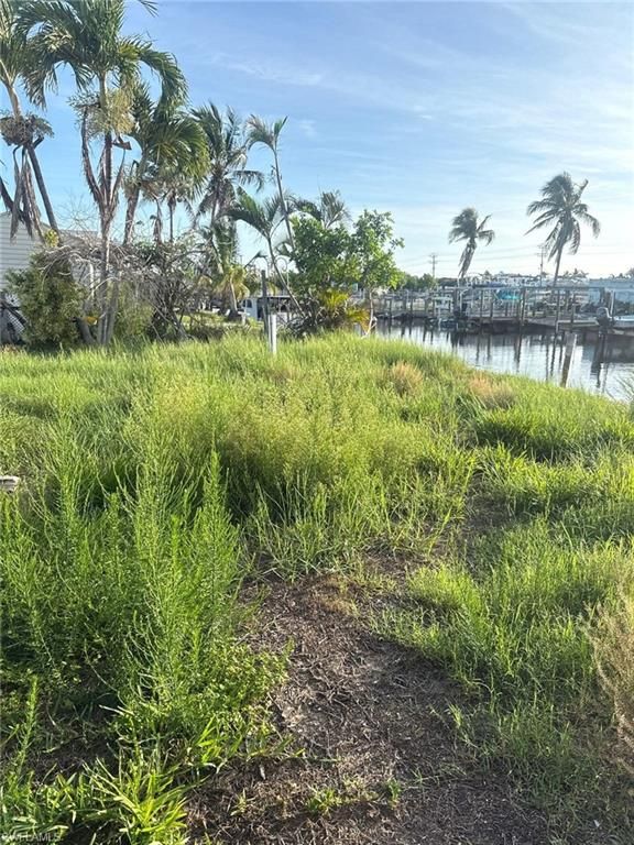 3314 York RD, ST. JAMES CITY, FL 33956 — photo 3