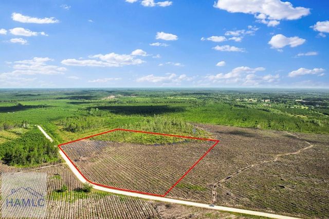 Tract 1 Morris Break Road, Odum, GA 31555