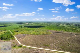 Tract 1 Morris Break Road, Odum, GA 31555