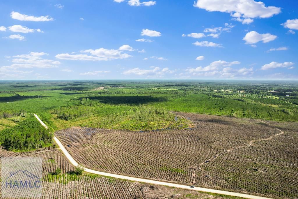 Tract 1 Morris Break Road, Odum, GA 31555