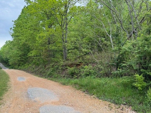 218 Mercury St, Hohenwald, TN 38462