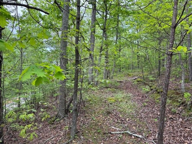 218 Mercury St, Hohenwald, TN 38462