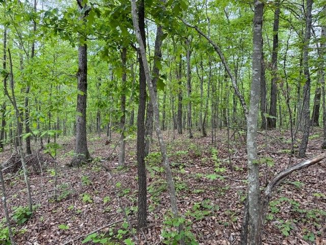218 Mercury St, Hohenwald, TN 38462