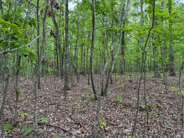 218 Mercury St, Hohenwald, TN 38462