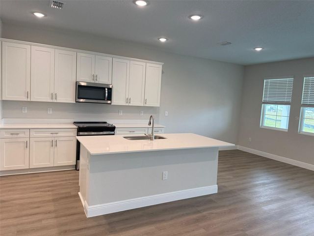 9874 SURREY ROSE DRIVE, San Antonio, FL 33576