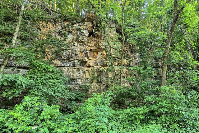 8157 Highway 49, E, Springfield, TN 37172