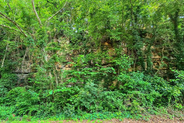 8157 Highway 49, E, Springfield, TN 37172