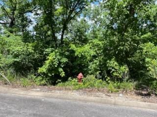 Lot 132a Skylee Drive, Hollister, MO 65672